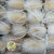 Thistle 'Heads' (Bleached) (DRY) (White)