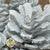 Nigra White Glitter Cones DRY Painted and Glitter 500g