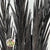 Palm 'Phoenix' (Painted) 110cm (Various Colours) (x5)