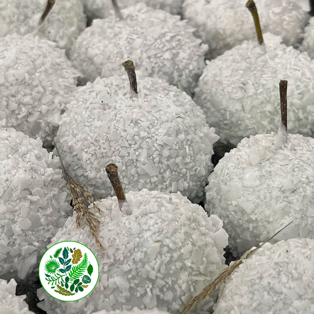 Waxed 'Apples' (Snow) Tray (x30)