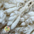Kangaroo Paw (Bleached) (DRY) 60cm