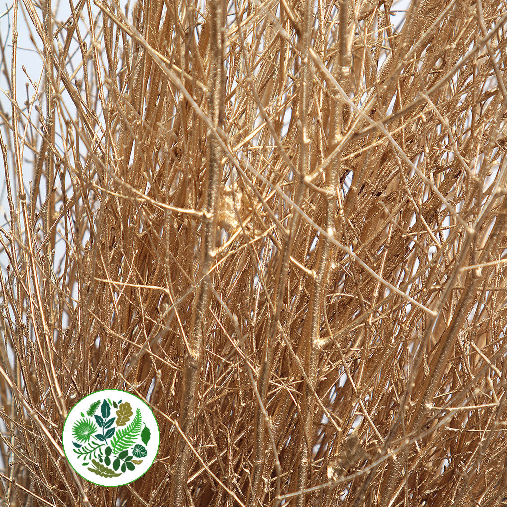 TWIG &#39;GOLD&#39; (Painted)