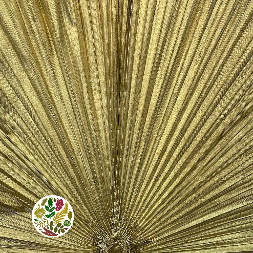Palm 'Washingtonia' (Painted) (Gold) 160cm (Per stem)