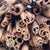 Cinnamon (DRY) (on Stems) (x10)