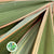 Phormium 'Leaves' (Red Aspirated) 1m (x10)