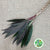 Cordyline Tips 'Cappuccino' (Various Sizes)