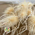 Thistle (Bleached) (White) (DRY) XXL (Bunch) 70cm
