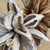 Sororoca Penca Flower DRY (White wash)