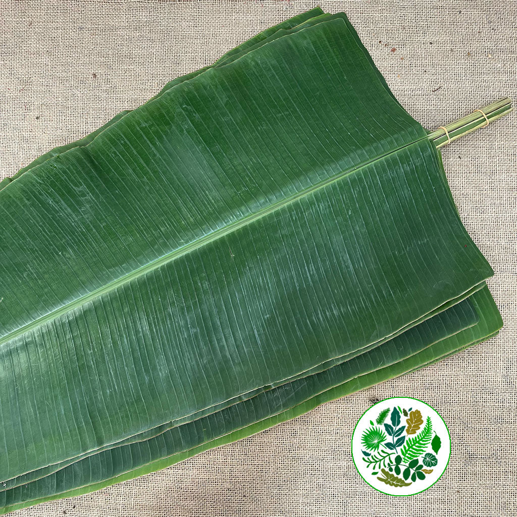 Banana 'Leaves' (Large) (x5)