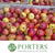 Apples 'Spartan' Tray