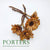 Protea 'Barbigera' (Base) (DRY) (Natural) (x4)