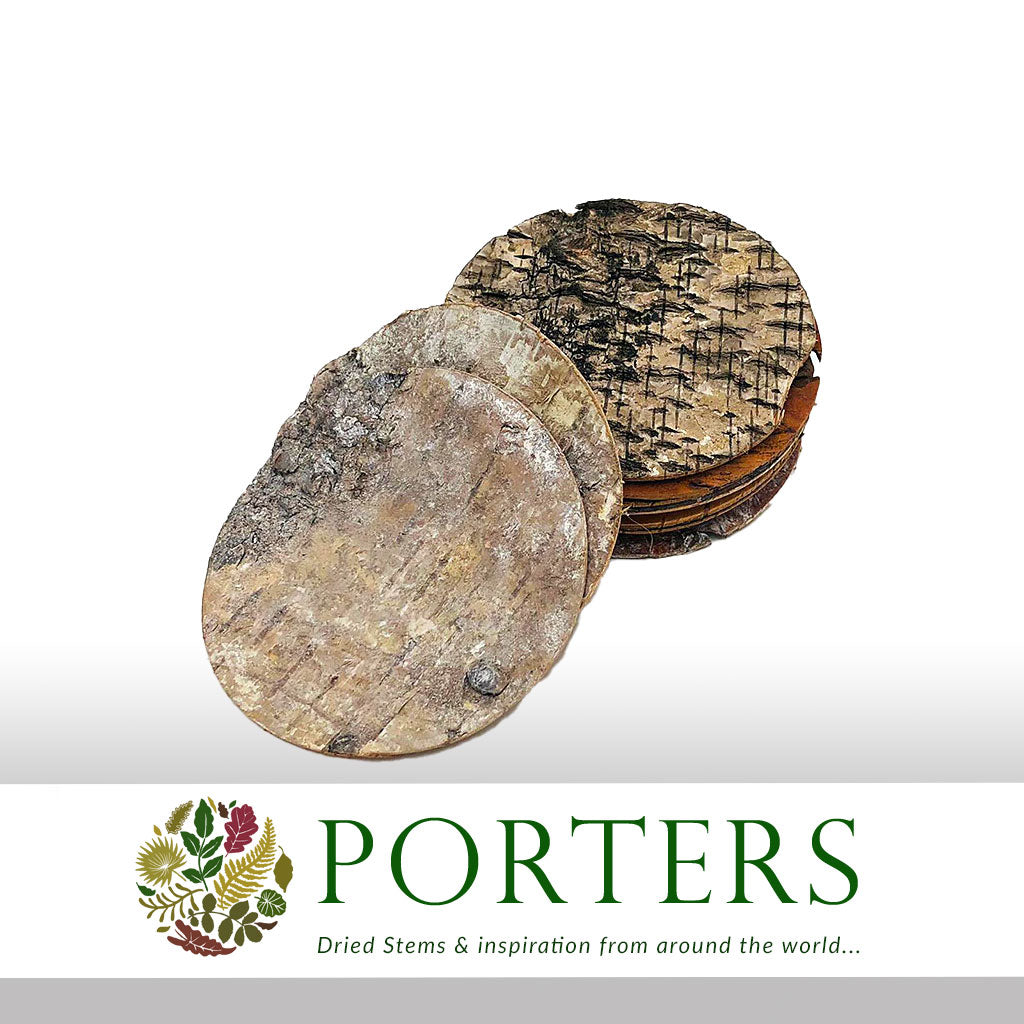 Bark Strips &#39;Round&#39; (White Wash) (DRY) 10cm