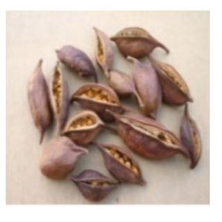 Nuts 'Brachiton' (DRY) (250g)