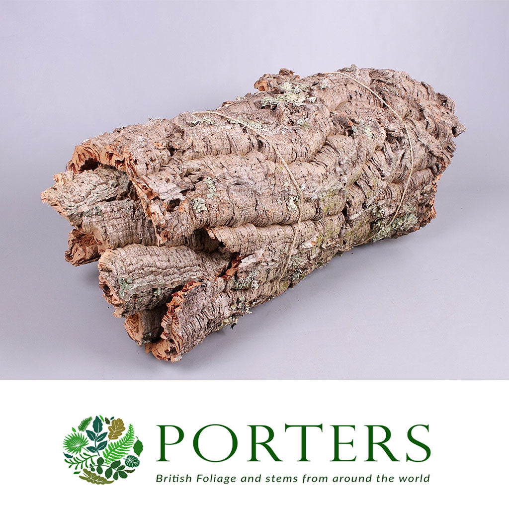 Cork Bark &#39;Pieces&#39; (5kg Bundle) (DRY) (5Kg)