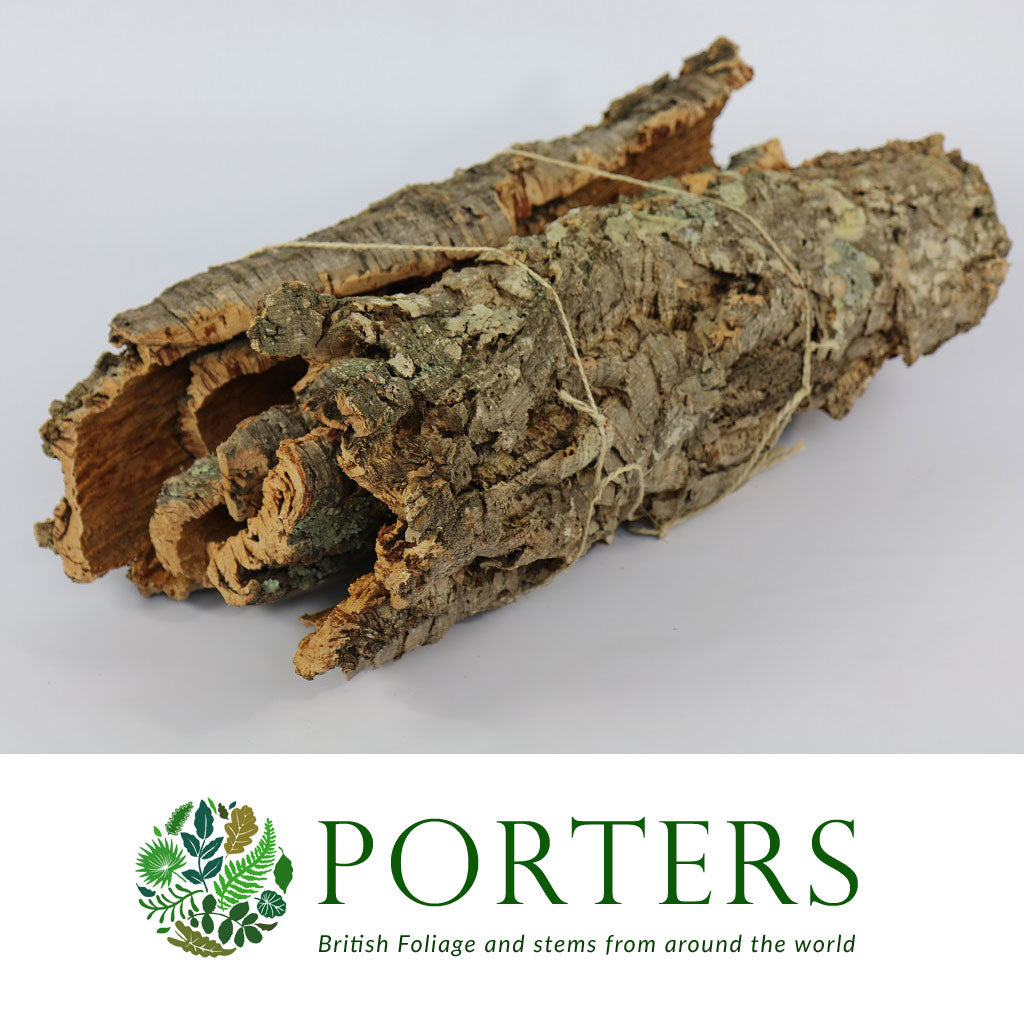 Cork Bark 'Pieces' (5kg Bundle) (DRY) (5Kg) Porters Foliage Ltd