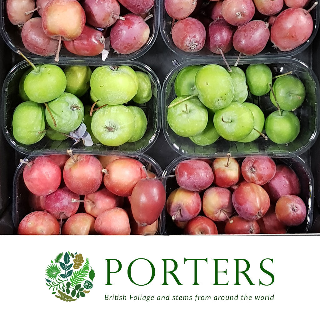 Apples &#39;Crab Apples&#39; (Green) (Small Punnet)