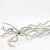 Crazy Vine 'Stems' (White Wash) 1m (DRY) (x5)