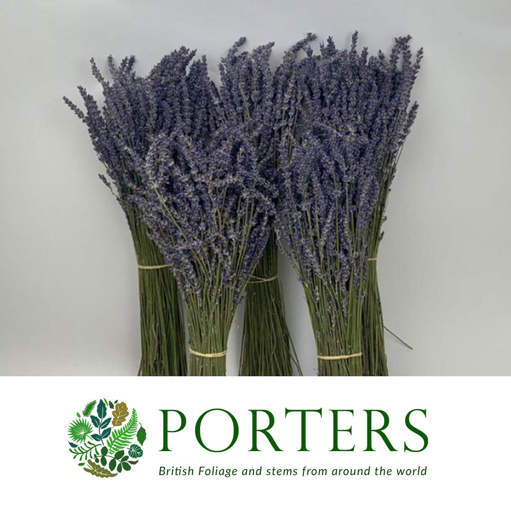 Lavender Flower DRY &#39;Premium&#39; 45cm (100g)