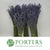 Lavender Flower DRY 'Premium' 45cm (100g)