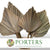 Palm 'Spear Palm' (Super) (Natural) (Tough Leaf) 1.2m (DRY) (stem)