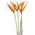 Heliconia 'Fire Opal' 80cm (x10)
