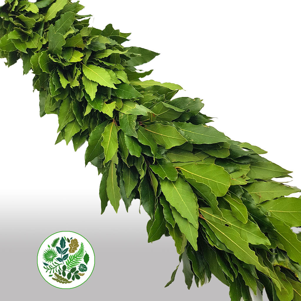 Garland &#39;Bay&#39; Fresh (price per metre)