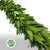 Garland 'Bay' Fresh (price per metre)