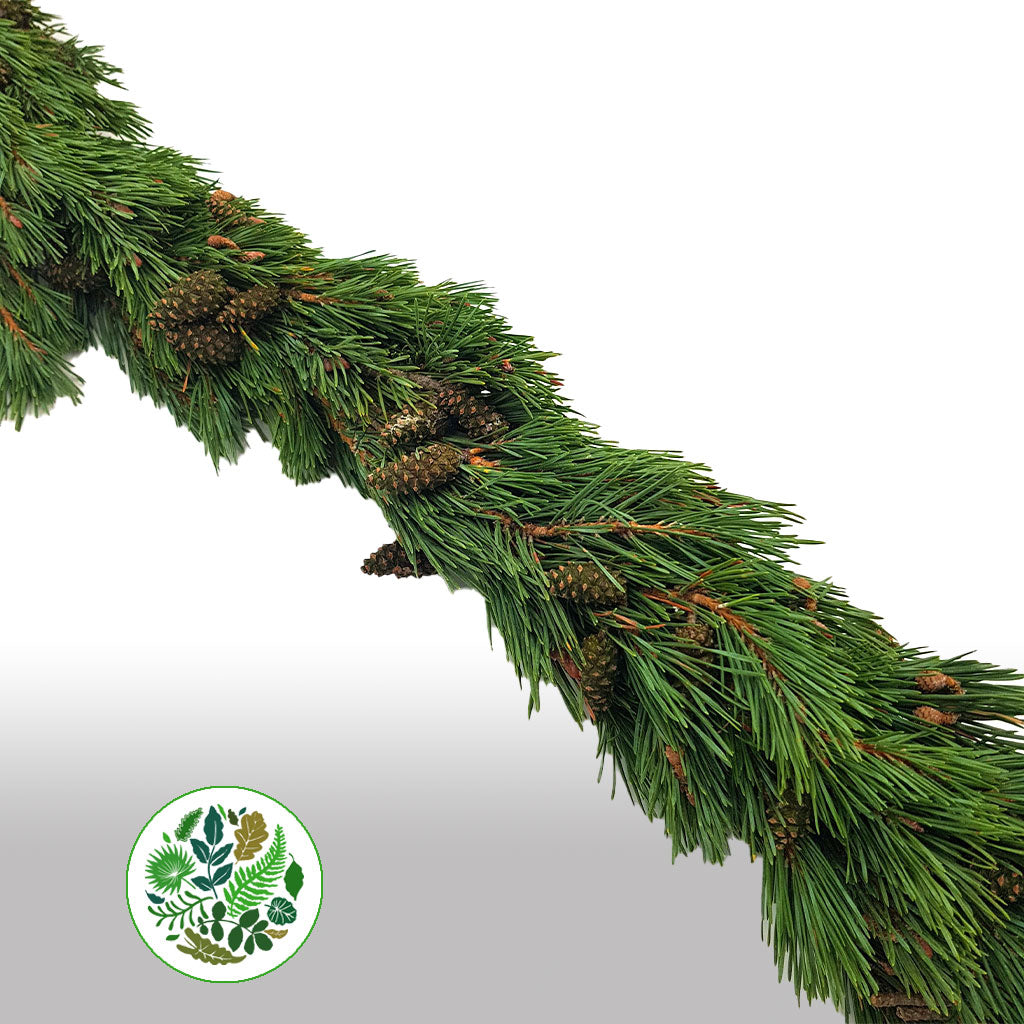 Fresh Plain Garland of Conifer and Populus Berry