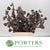 Hakea 'Sericea Nuts' DRY (Various Sizes)