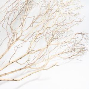 Twigs &#39;Hammamet&#39; (Bleached) (DRY)