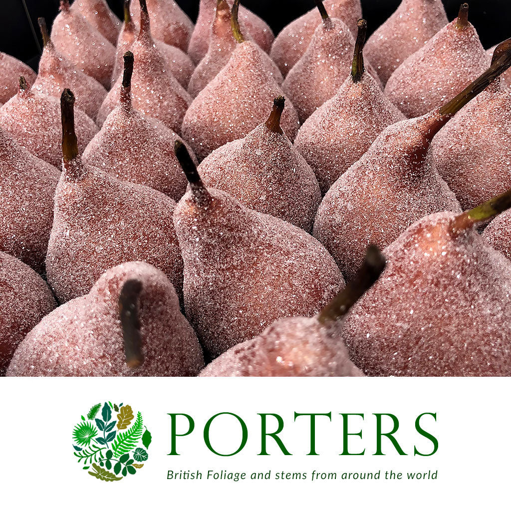 Waxed Pears Copper Glitter (x39)