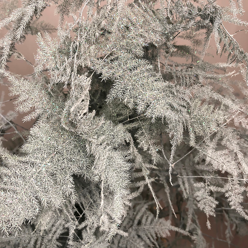 Plumosous Fern White + Silver Glittter Trail 85cm (x50)