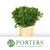 Oak Foliage "Small Leaf" Natural 80cm (x20)