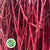 Dogwood 'Red' (Cultivated) (Various Lengths)