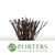 Chesnut 'Sticky Bud' (Horse Chestnut) 80-150cm (x10)