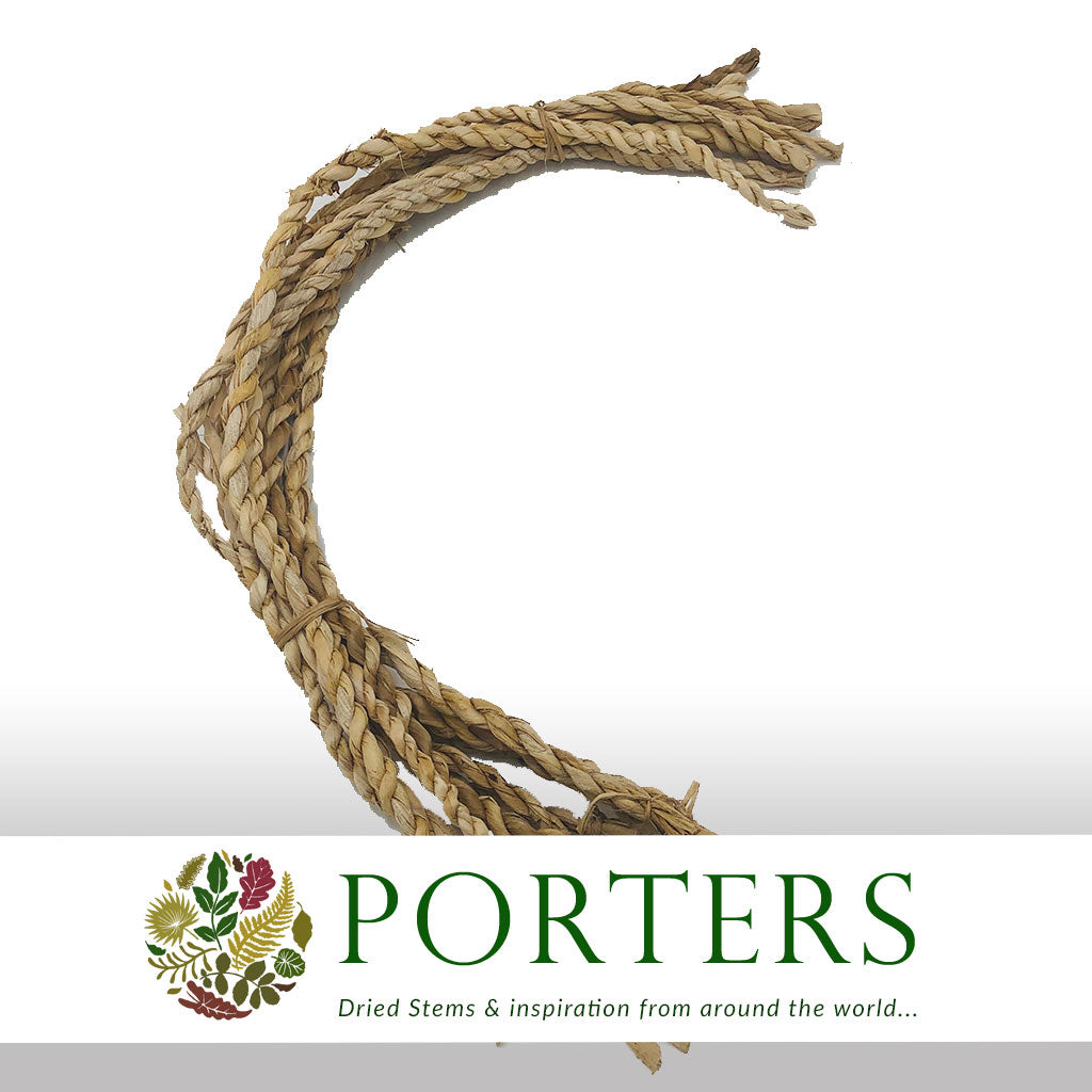 Banana &#39;Rope&#39; (DRY) (x10)
