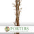 Fennel 'Branch' (Natural) (DRY) 2m (x5)
