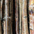 Birch 'Poles' (Various sizes)