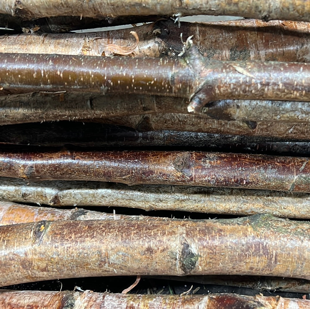 Birch 'Poles' (Various sizes)