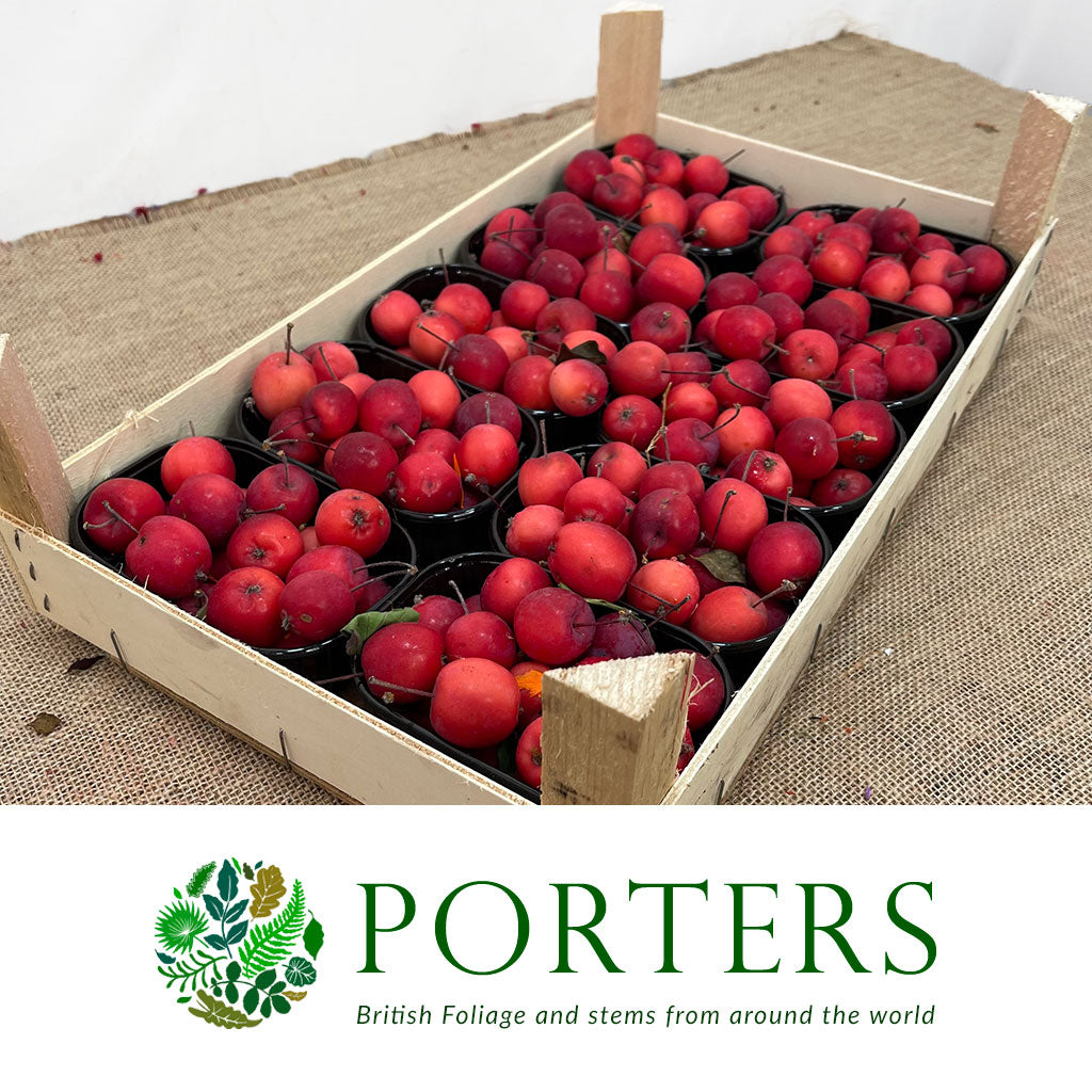 Apples &#39;Crab Apples&#39; (Red) (Small Punnet)