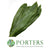 Cordyline 'Green Tie' Leaves 80cm (x10)