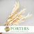 Eucalyptus 'Willow' (Bleached) (DRY)
