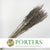 Statice 'Sea Lavender' (DRY) 90cm (x10)
