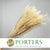 Fern 'Helechos' (Bleached) (DRY) 75cm