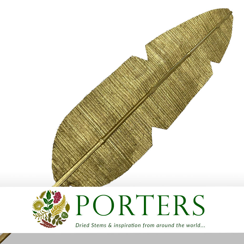 Artificial &#39;Bamboo Leaf&#39; (Gold) (DRY) 190cm (Per Stem)