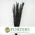 Palm 'Phoenix' (Painted) 110cm (Various Colours) (x5)