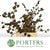 Eucalyptus 'Pods' (Antique) 60cm (400g)