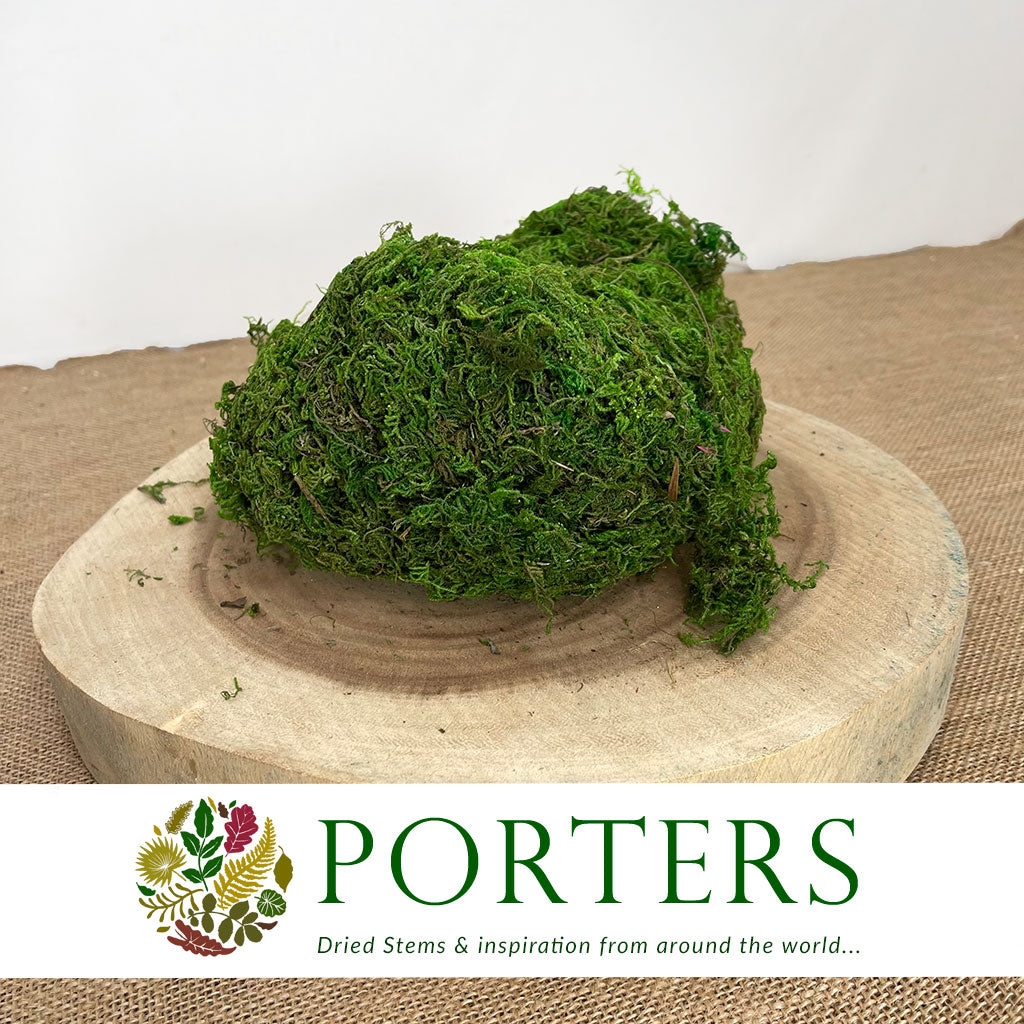 DRY Moss - Porters Foliage Ltd