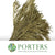 Conifer Mammoet (Gold) Painted