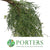 Pepper 'Foliage' (300g)